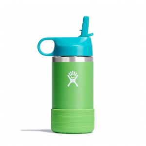 Hydro Flask 12 oz Kids Wide Mouth w/ Straw Cap Grass | LF1538209