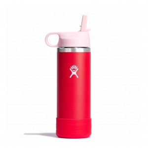 Hydro Flask 18 oz Kids Wide Mouth w/ Straw Cap Goji | BN3195264