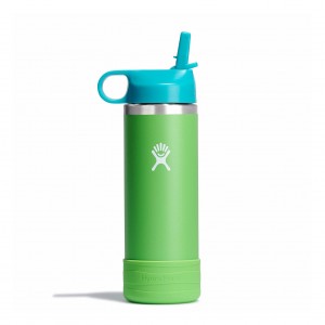 Hydro Flask 18 oz Kids Wide Mouth w/ Straw Cap Grass | EV2658043