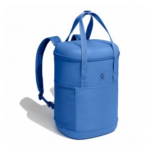 Hydro Flask 20 L Carry Out™ Soft Cooler Pack Cascade | BX5983470