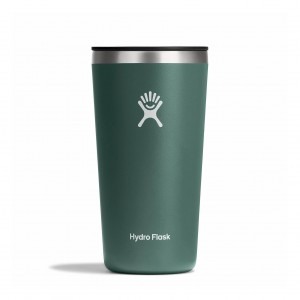 Hydro Flask 20 oz All Around™ Tumbler Fir | ET4870623