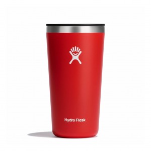 Hydro Flask 20 oz All Around™ Tumbler Goji | QR1859302