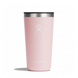 Hydro Flask 20 oz All Around™ Tumbler Trillium | UG6459710