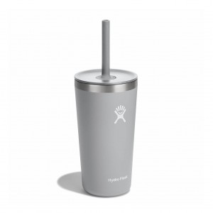 Hydro Flask 20 oz All Around™ Tumbler with Straw Lid Birch | BP7084215