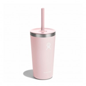 Hydro Flask 20 oz All Around™ Tumbler with Straw Lid Trillium | ES4187950