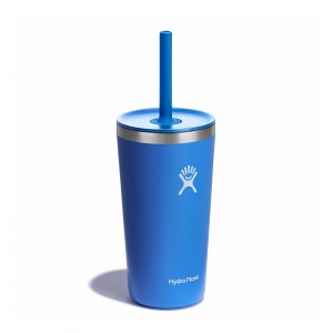 Hydro Flask 20 oz All Around™ Tumbler with Straw Lid Cascade | BM3408275
