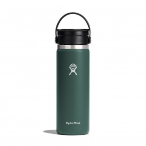 Hydro Flask 20 oz Coffee with Flex Sip™ Lid Fir | SY3054761