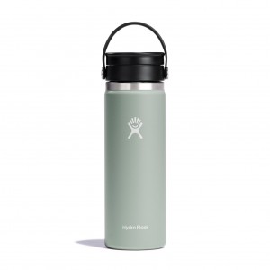 Hydro Flask 20 oz Coffee with Flex Sip™ Lid Agave | XW8317520