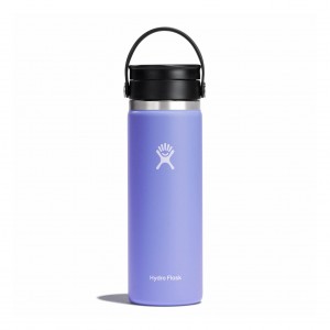 Hydro Flask 20 oz Coffee with Flex Sip™ Lid Lupine | EY3795842