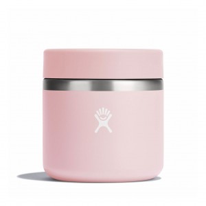 Hydro Flask 20 oz Insulated Food Jar Trillium | DH5742139