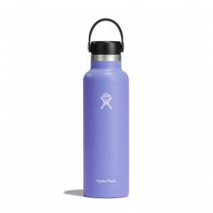 Hydro Flask 21 oz Standard Mouth Lupine | CE4185739
