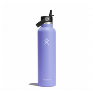 Hydro Flask 24 oz Standard Mouth with Flex Straw Cap Lupine | QX2316798