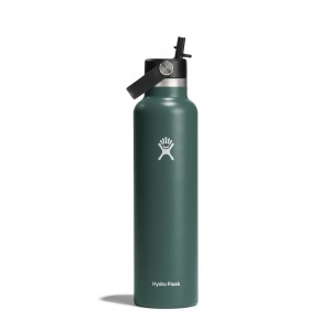 Hydro Flask 24 oz Standard Mouth with Flex Straw Cap Fir | IR6901248
