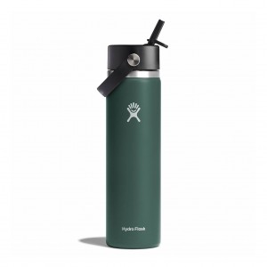 Hydro Flask 24 oz Wide Mouth with Flex Straw Cap Fir | QA9260173