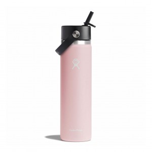 Hydro Flask 24 oz Wide Mouth with Flex Straw Cap Trillium | RP6957084