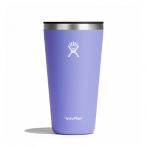 Hydro Flask 28 oz All Around™ Tumbler Lupine | NU7601284