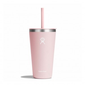 Hydro Flask 28 oz All Around™ Tumbler with Straw Lid Trillium | UO4703295