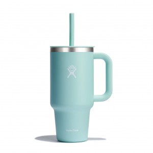Hydro Flask 32 oz All Around™ Travel Tumbler Dew | VC2871349