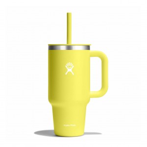 Hydro Flask 32 oz All Around™ Travel Tumbler Cactus | DO3624058