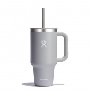 Hydro Flask 32 oz All Around™ Travel Tumbler Birch | HY5413870