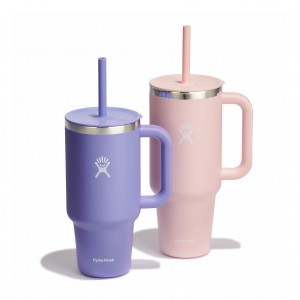 Hydro Flask 32oz/42oz Hydration Handled™ Bundle | ZX4567892