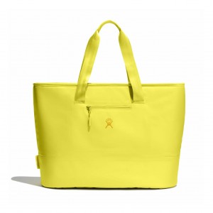 Hydro Flask 35 L Insulated Tote Cactus | YL6382109