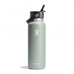 Hydro Flask 40 oz Wide Mouth with Flex Straw Cap Agave | CM7945863