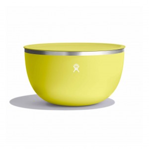Hydro Flask 5 qt Serving Bowl with Lid Cactus | SD9605342
