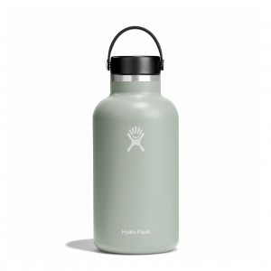 Hydro Flask 64 oz Wide Mouth Agave | YQ0296318
