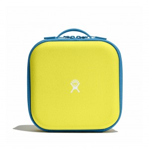 Hydro Flask Kids Insulated Lunch Box Cactus | NJ1329705